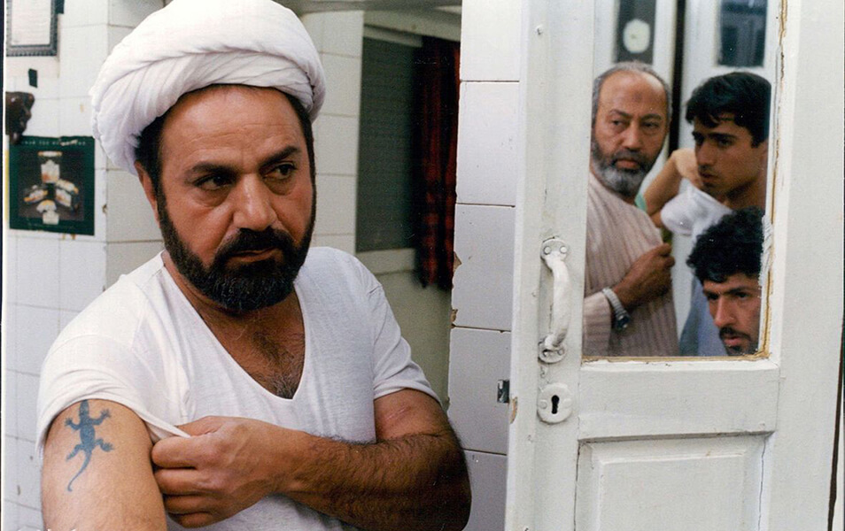 پرستویی مارمولک تبریزی