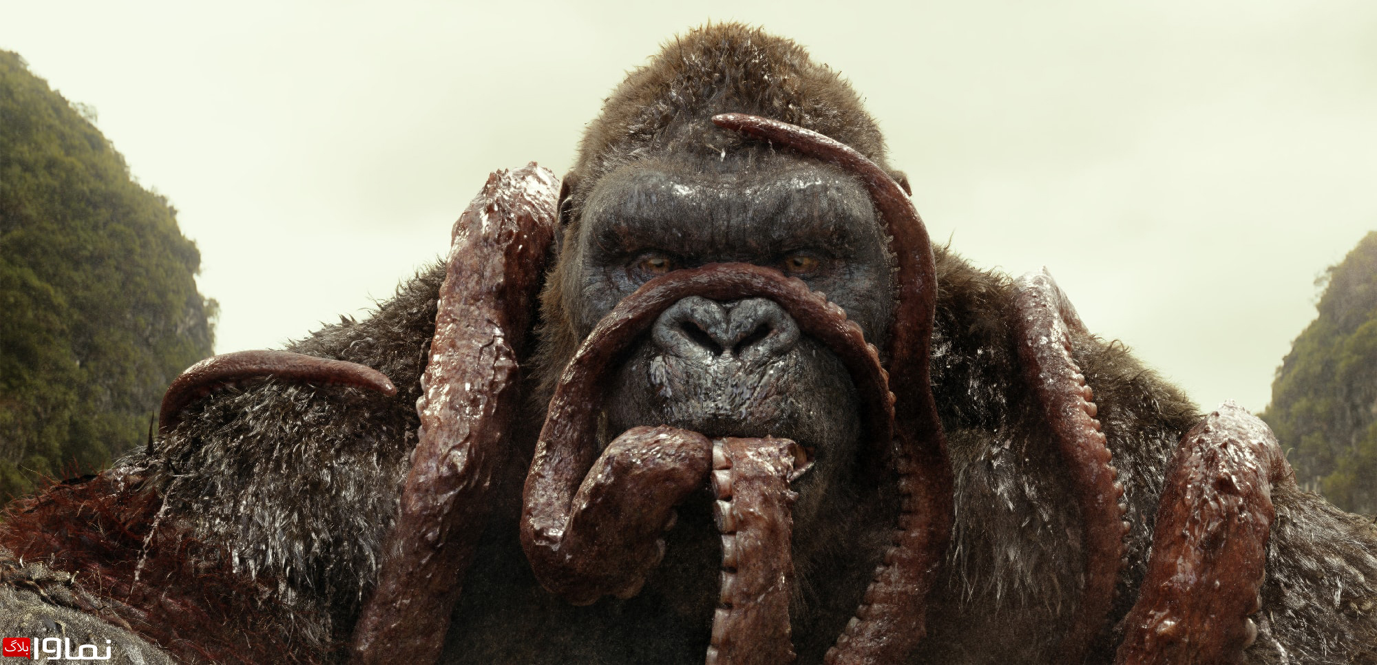 معرفی فیلم «کونگ جزیره جمجمه» Kong Skull Island بلاگ نماوا