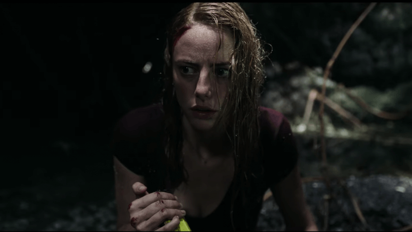 Crawl 2019