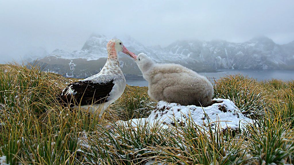 سیاره ما