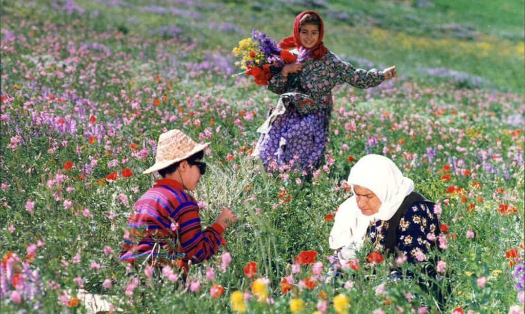 رنگ خدا - مجید مجیدی