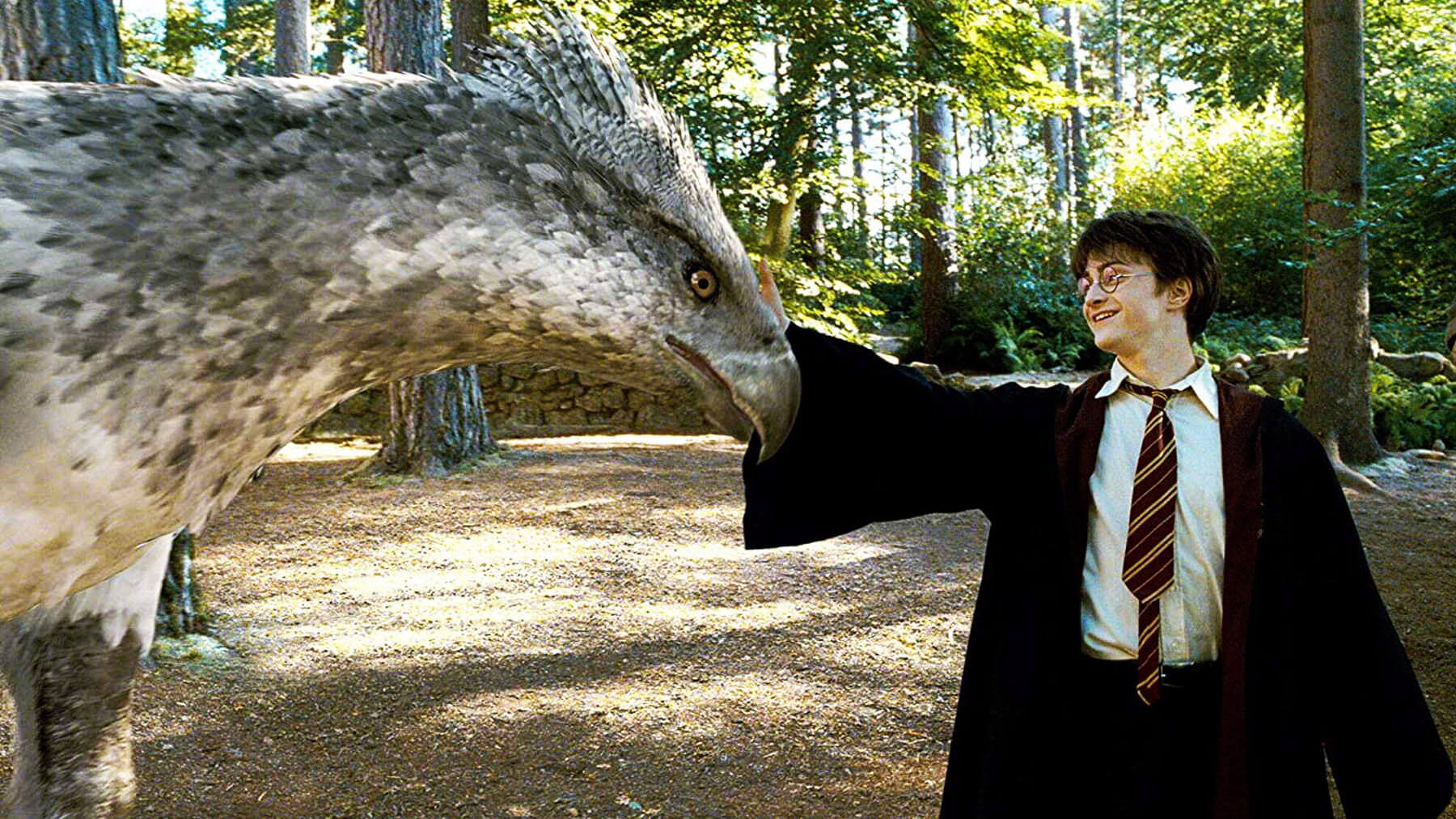 رتبه بندی تمام فیلم های هری پاتر Harry Potter و جانوران شگفت‌انگیز Fantastic Beasts