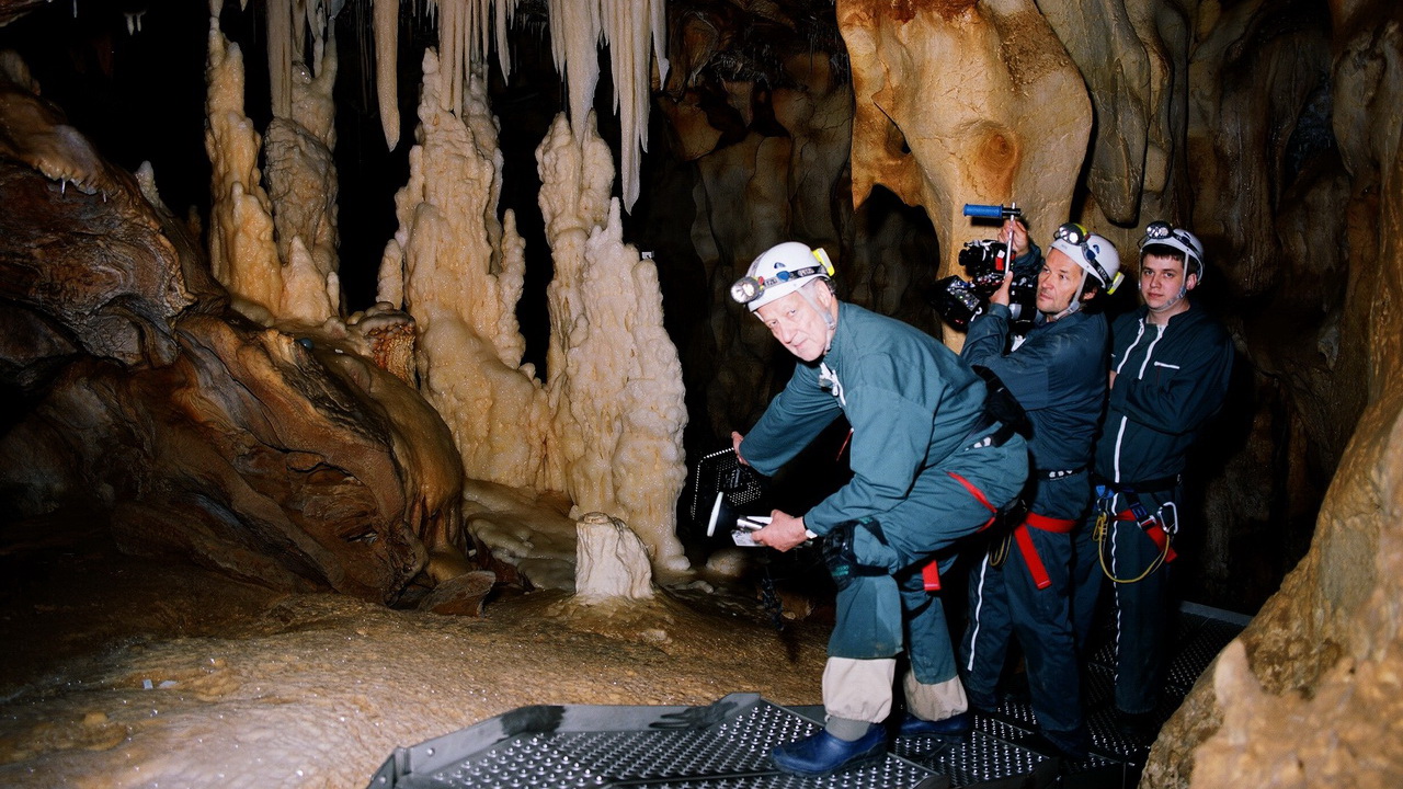 ورنر هرتسوک از «غار رؤیاهای فراموش‌شده» می‌گوید / نقاشی‌هایی به قدمت ۳۲ هزار سال