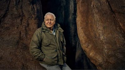 https://www.namava.ir/mag/wp-content/uploads/2022/07/David-Attenborough-in-The-Green-Planet-20222-400x225.jpg