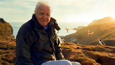 https://www.namava.ir/mag/wp-content/uploads/2023/08/Sir-David-Attenborough-filming-Wild-Isles-next-to-common-puffins-on-Skomer-Island-Wild-Isles-2023-400x225.jpg