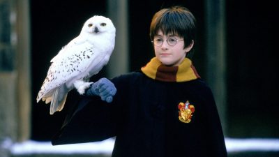 https://www.namava.ir/mag/wp-content/uploads/2023/09/Harry-Potter1-400x225.jpg