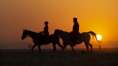 https://www.namava.ir/mag/wp-content/uploads/2025/05/بازیگران-سریال-سووشون-400x225.jpg